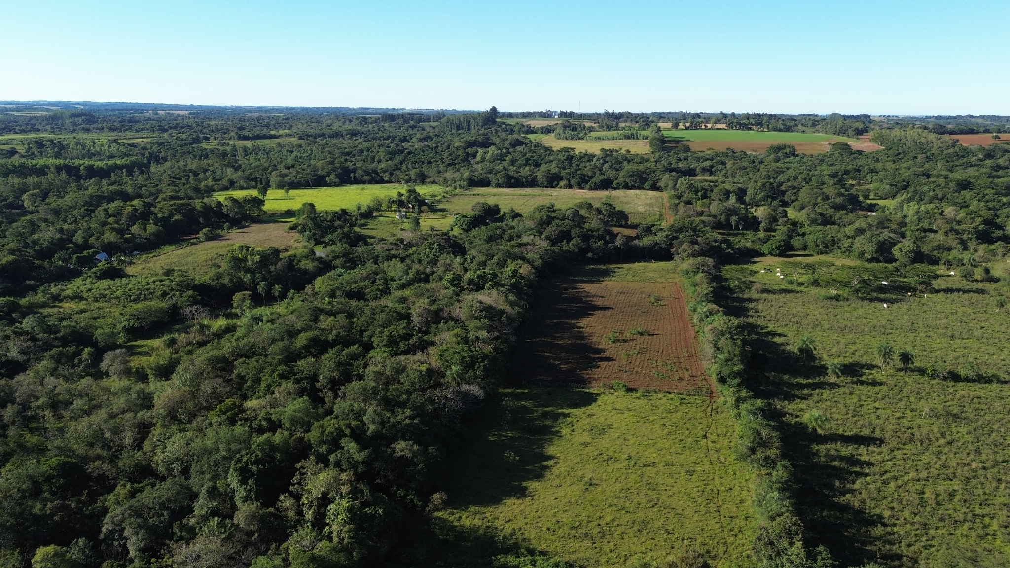 Propiedad Rural En Venta En San Juan Del Paraná, Santa Rosa Guaviy — foto 3