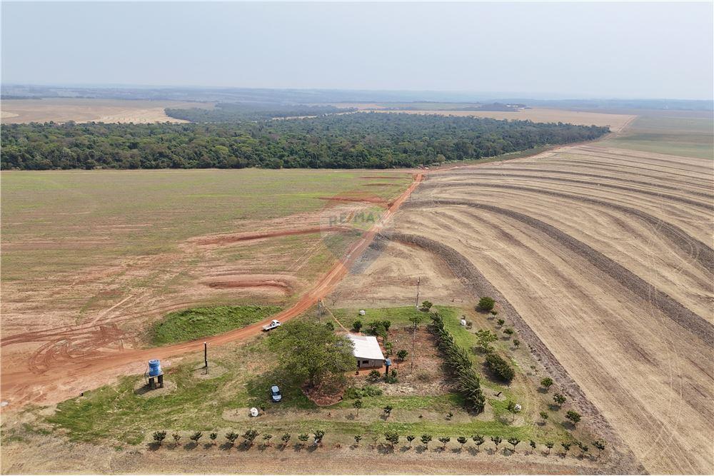 Finca Agrícola - Venta - Capiibary, San Pedro, Paraguay — foto 3