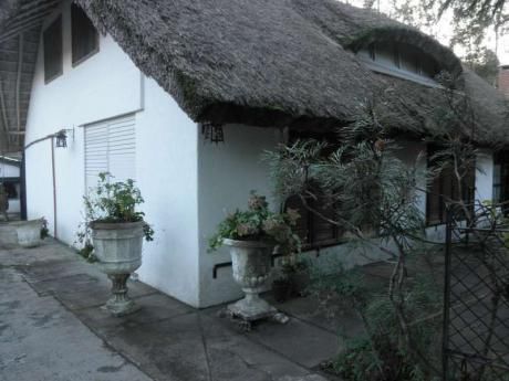 Blancarena - Calle 16