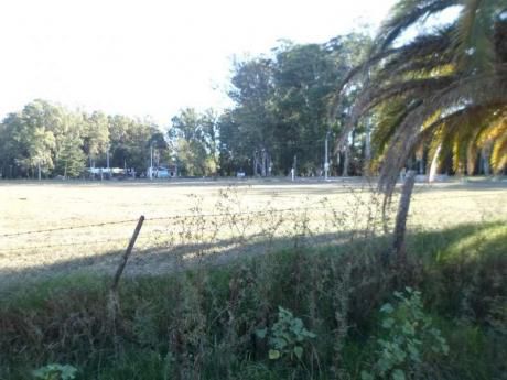 Nueva Helvecia Lote 36
