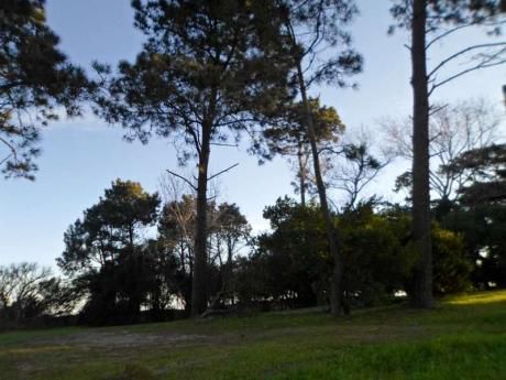 Rambla Río De La Plata - Los Pinos