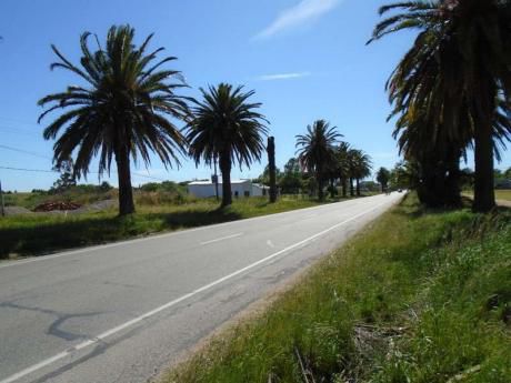 Colonia Valdense - Fraccionamiento