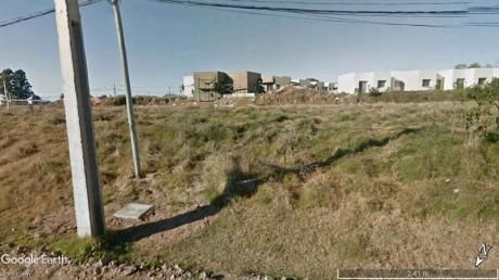 Fraccionamiento San Benito - Lote 3
