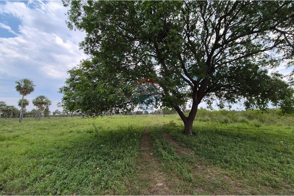 Terreno de 372 m² (12.4x30) en Fracción Montepila Norte, Villa Hayes — foto 3