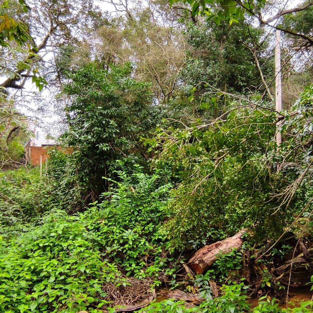 Vendo Terreno en San Bernardino en Sadi II — foto 2