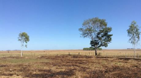 Campo De 5000 Hectareas Proximo A Neuland