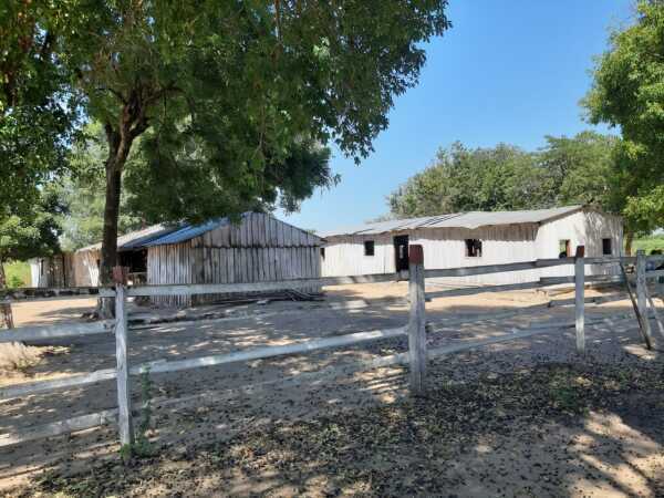 ¡Gran Oportunidad de Inversión!  Venta de Campo en Concepció — foto 2