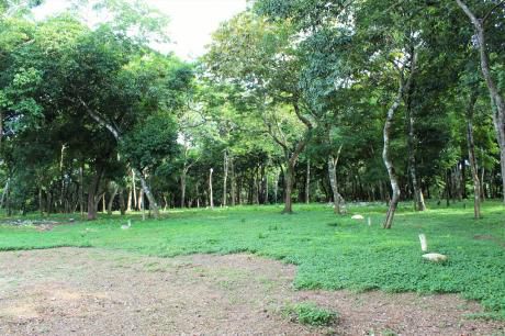 Hermoso Terreno Para Tu Casa Quinta (1.750 M2)