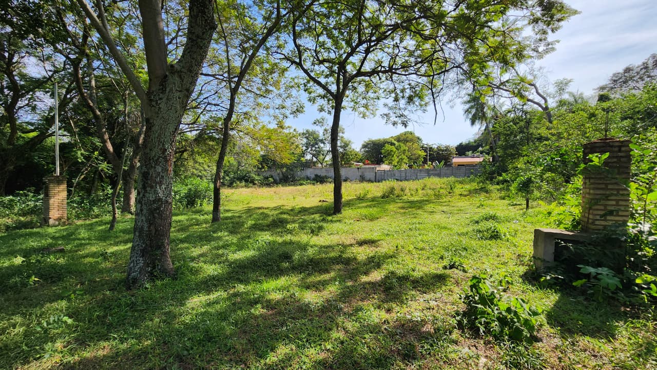 Terreno en San Bernardino sobre la Avda Mbokaya — foto 2