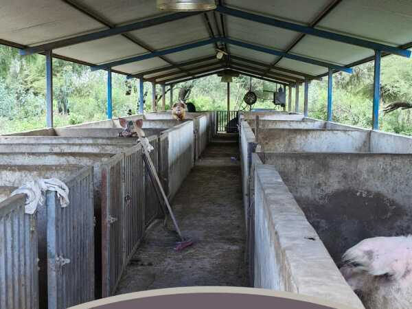 VENDO ESTANCIA EN TTE MARTINEZ — foto 3