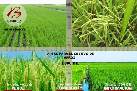 Propiedad Agrícola En Venta En Santa Cruz