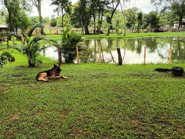 VENDO 17.306 HAS PEGUAJHO YAGUARON — foto 2