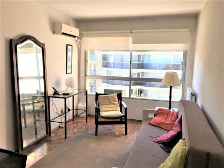Lindo Apto 1 Dorm, Scoseria Casi Rbla, Piso Alto, Losa, Vigil, Gtos Bajos.
