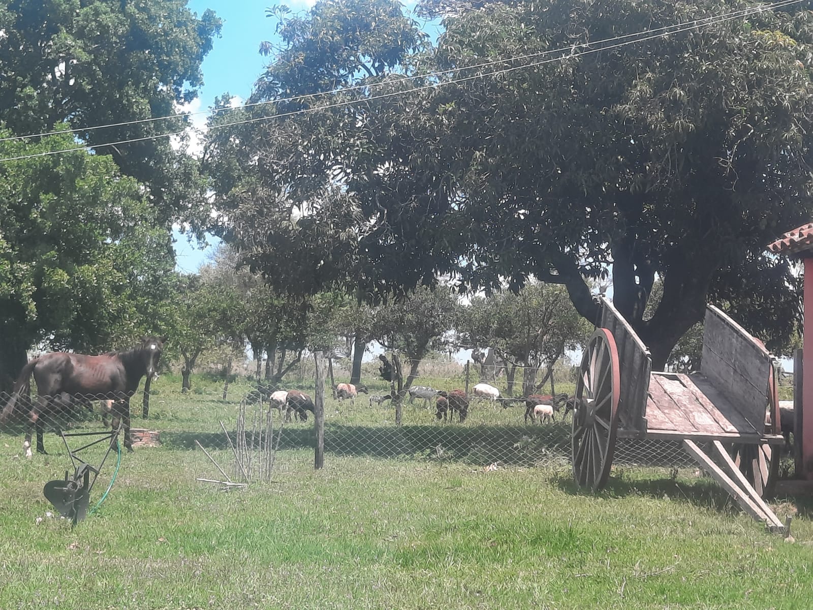 Vendo Campo Ganadero De 814 Hectáreas En Quiindy, Paraguari - Lcs6313877 — foto 3