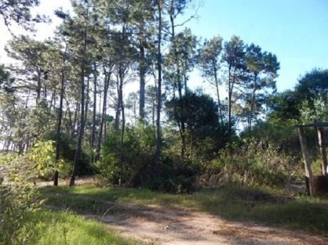 Terreno En Playa Serena T3357