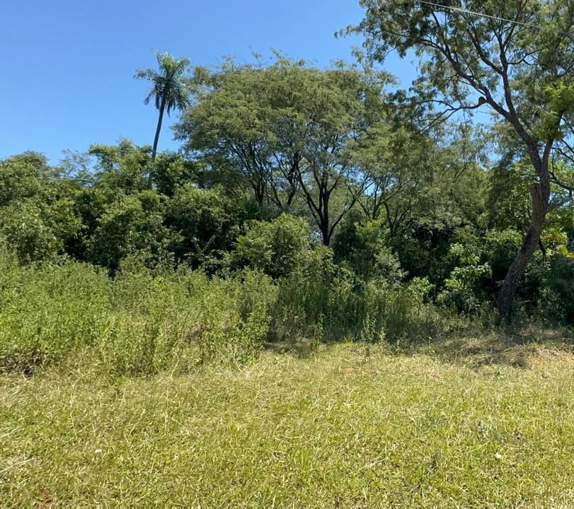 SAN BERNARDINO EN VENTA TERRENO DE 672 M2 A PASOS DE LOS ALPES — foto 2