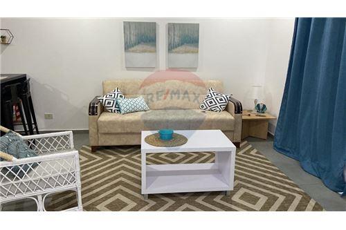 Alquiler - Departamento - Herrera — foto 2