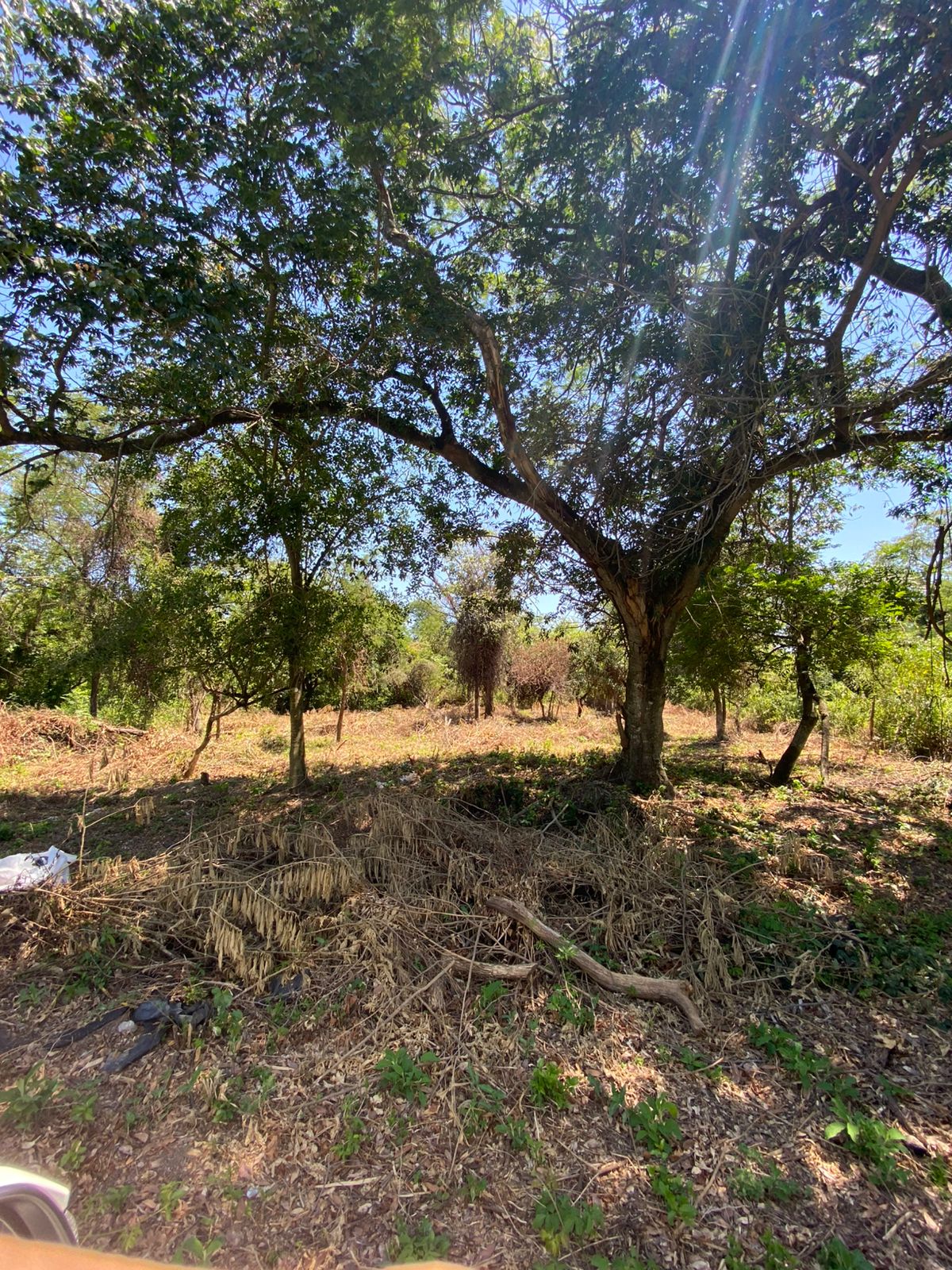 VENTA DE DOS TERRENOS JUNTOS – SAN BERNARDINO — foto 2