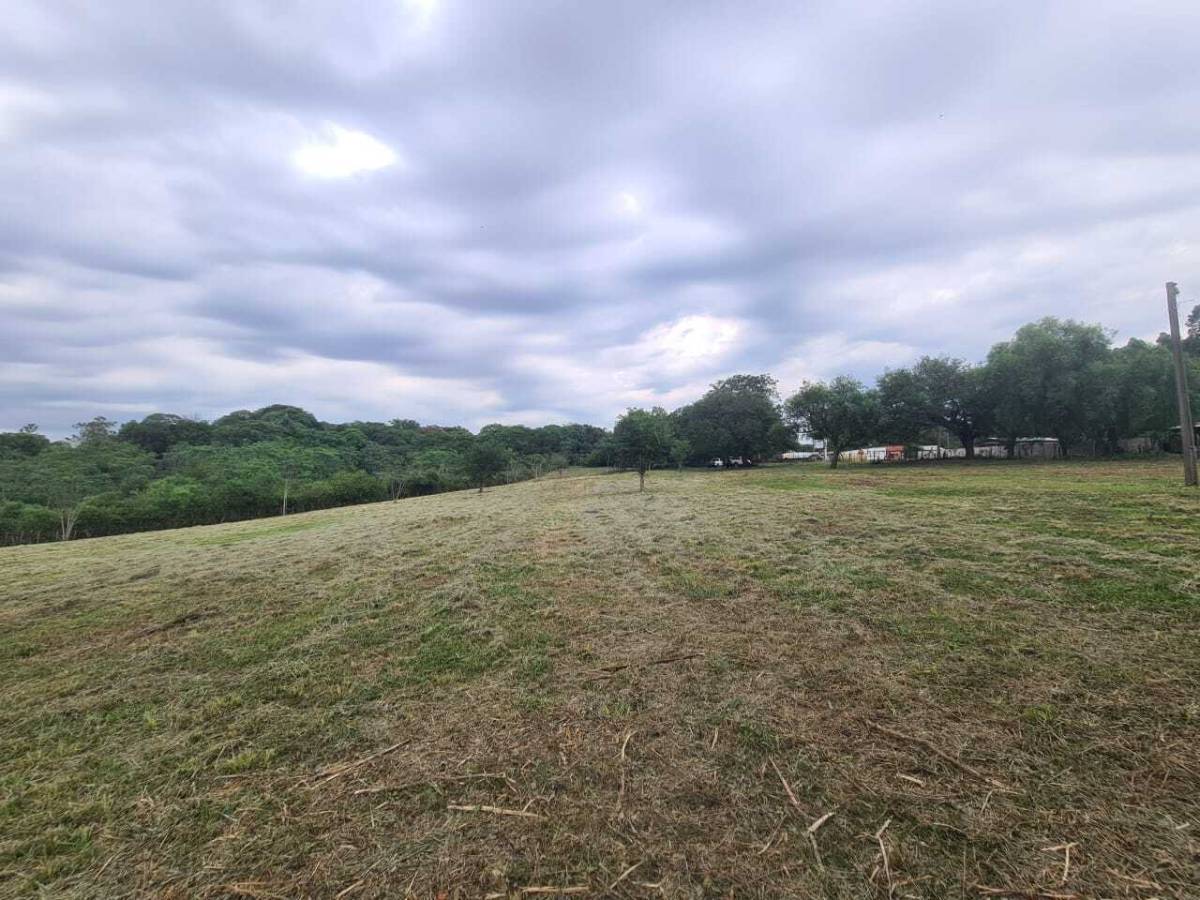 TERRENO DE DOS HECTAREAS EN LUQUE — foto 2