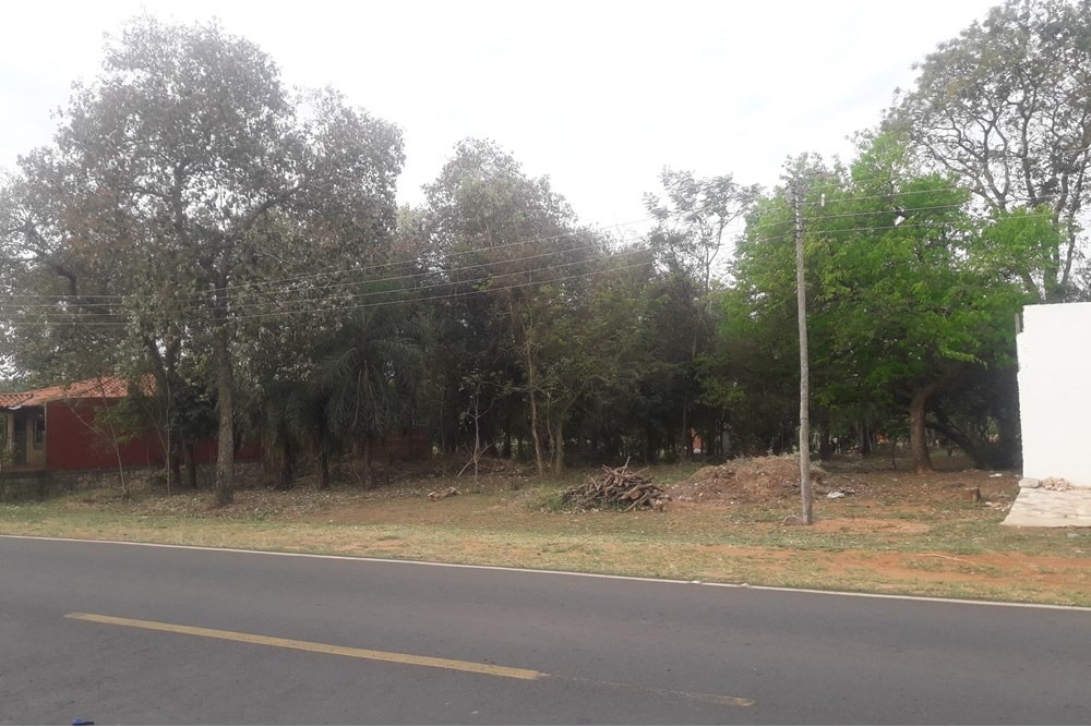 Terreno-Venta-Guillermo Neumann, Isla Alta, Emboscada, Cordillera — foto 2