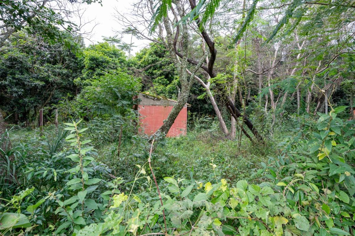 VENDO Terreno 706 m2 sobre ruta - Dr. Federico Chavez, Altos — foto 2