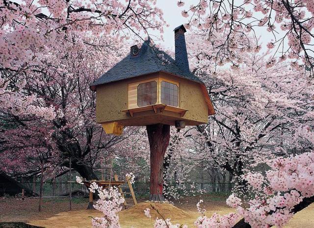 Las casas más increíbles construidas sobre los árboles - InfoCasas