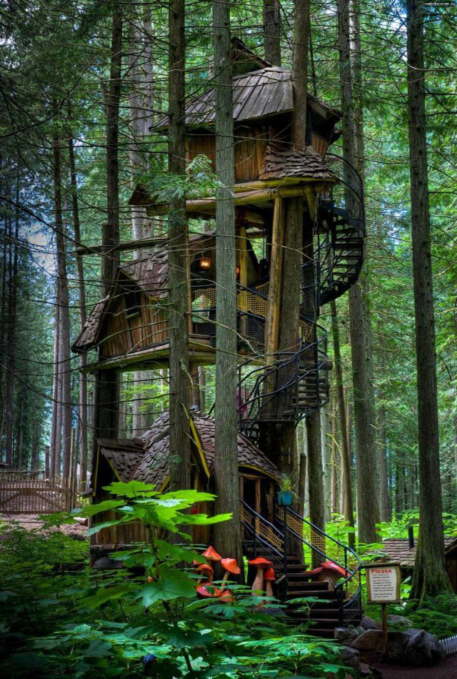 Las casas más increíbles construidas sobre los árboles - InfoCasas