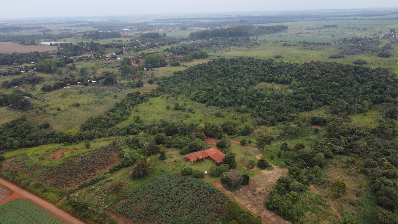 VENDO 40 HECTAREAS EN MINGA GUAZU   KM 28 ALTO PARANÁ — foto 3