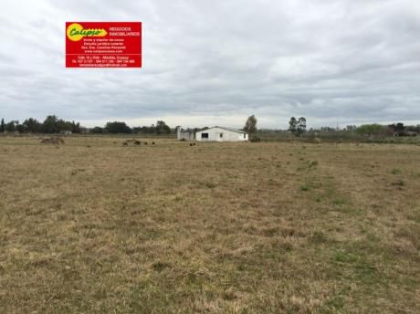 Chacra De 15 Hectáreas Próximo Al Balneario Atlántida-inmobiliaria Calipso