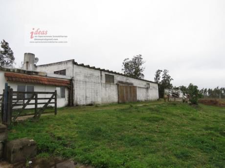 Chacra 4 Has, Montevideo, Próxima A Perimetral, 2 Casas, 3 Galpones