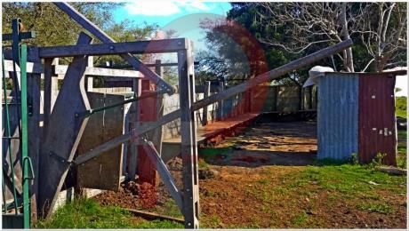 250 Has. Campo Muy Completo Y Prolijo En Florida