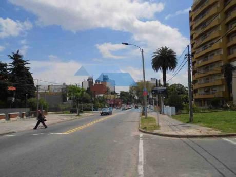 Local Y Casa - 660 M2 Terr. 470 M2 Cons. Frente 20 Mts, Impecable