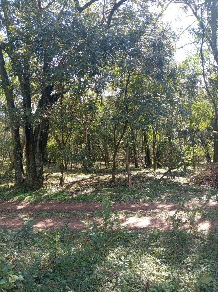 EN VENTA TERRENO EN ALTOS – CORDILLERA, PARAGUAY — foto 2