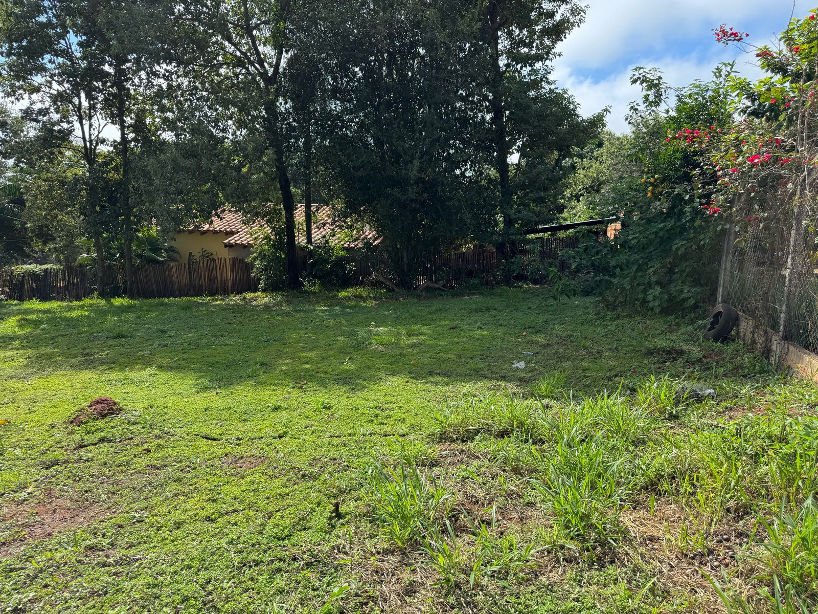 VENDO 2 TERRENOS JUNTOS EN CABAÑAS - CORDILLERA — foto 3
