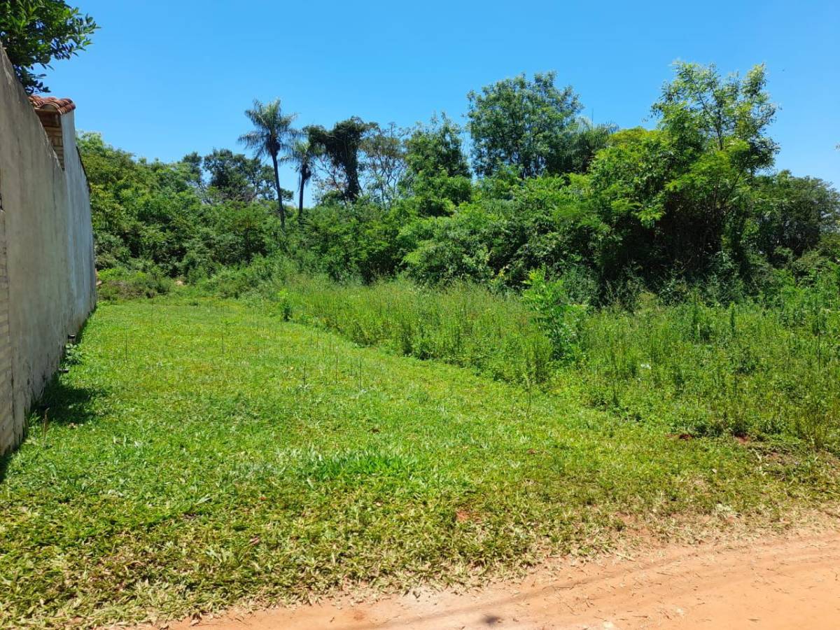 Vendo terreno en Zarate Isla, Luque — foto 2