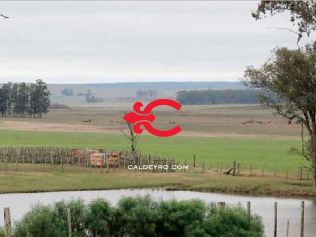 Campo En Tacuarembo. Ref: 5891