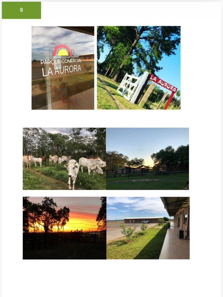 VENTA - Parque Industrial 24,5 ha sobre Ruta PY-08 - Caazapá — foto 3