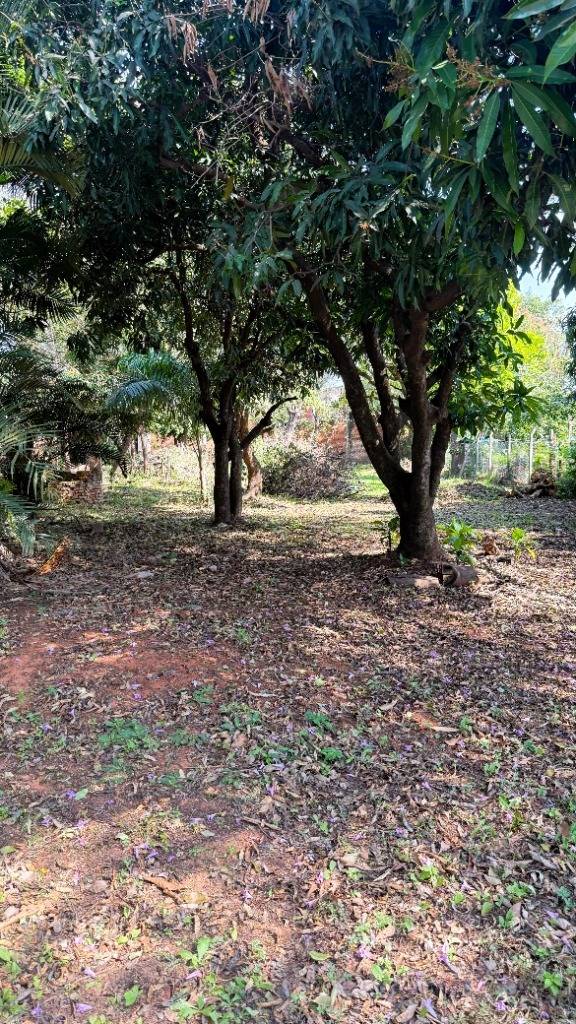 EN VENTA TERRENO EN LUQUE (Entrada al Barrio Palma Loma) — foto 3