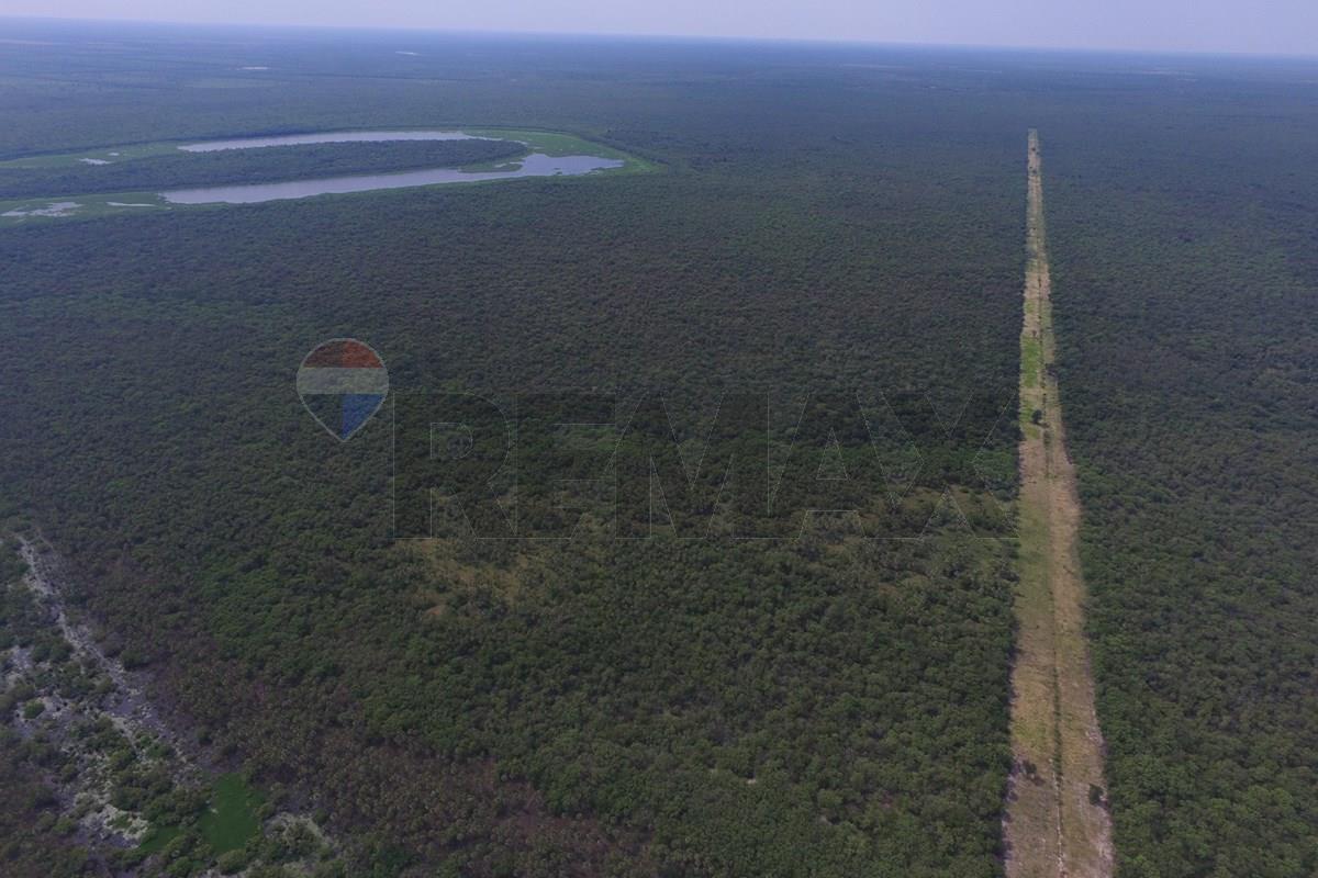 Excelente oportunidad Campo virgen Chaco Paraguayo — foto 3