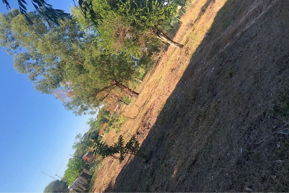 Terreno-Venta-Cerrito - Benjamín Aceval, Benjamín Aceval, Presidente Hayes — foto 2