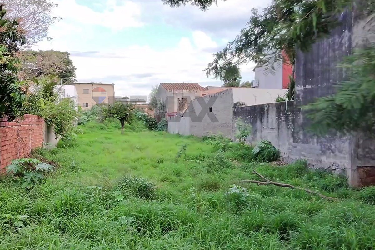 Vendo terreno 1111 m2 de calle a calle en Lambaré — foto 2
