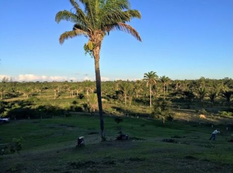 Vendo Espectacular Terreno En Urbanización "lomas Del Urubó"