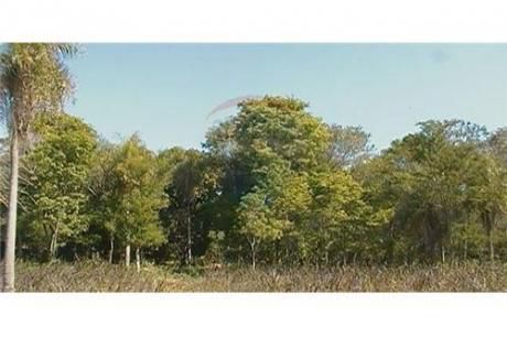 Terreno 11792 M2 En Yaguarón