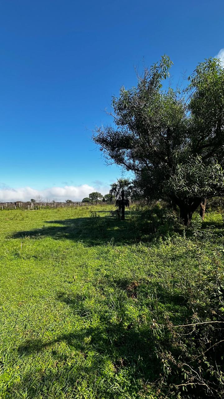 EN VENTA CAMPO DE 50 HAS, ARROYOS Y ESTEROS — foto 2