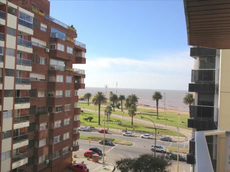 Apartamentos En Punta Carretas