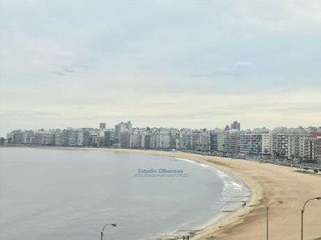 Apartamentos En Pocitos Nuevo