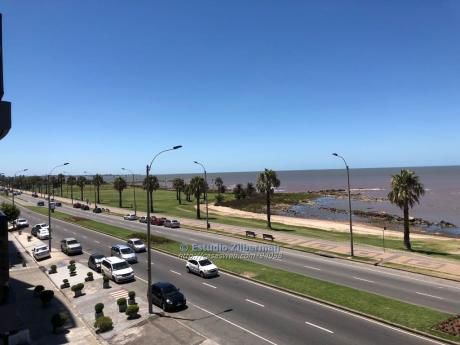 Apartamentos En Punta Carretas