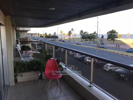 Apartamentos En Punta Carretas