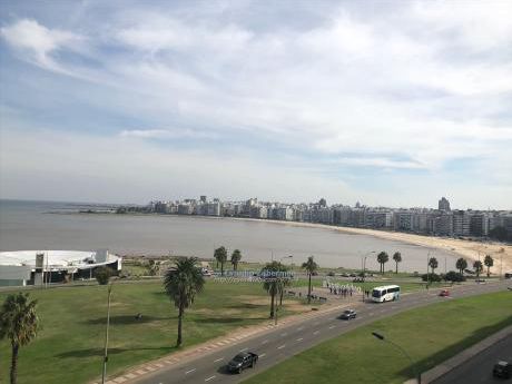 Apartamentos En Pocitos Nuevo