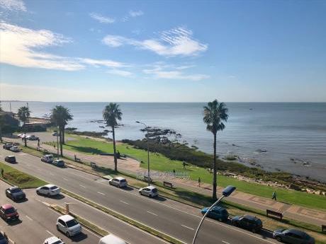 Apartamentos En Punta Carretas